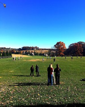 Image post by @hpuwlax on Instagram