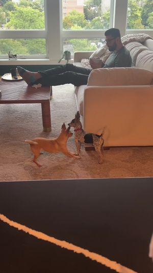 Video post by @oliviamancuso__ on TikTok