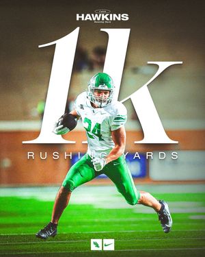 Image post by @meangreenfb on Instagram