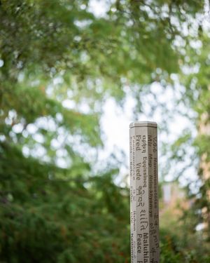 Image post by @unt on Instagram