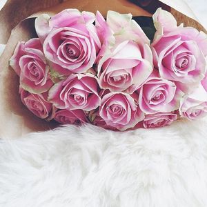 Image post by @catcatoura on Instagram