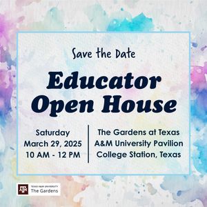Image post by @txextension on Instagram