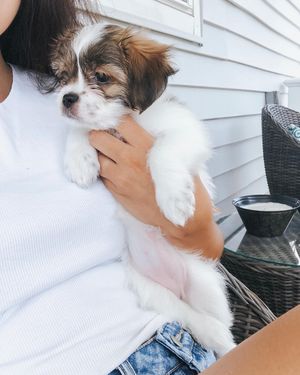 Image post by @byerikabatista on Instagram