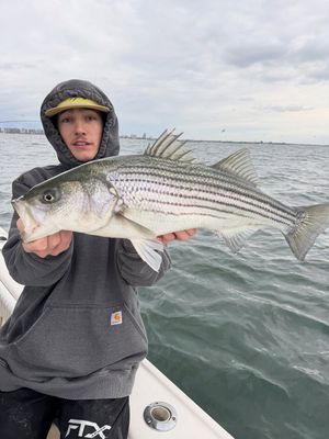 Image post by @slimfishes on Instagram
