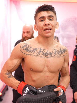 Video post by @ufc on TikTok