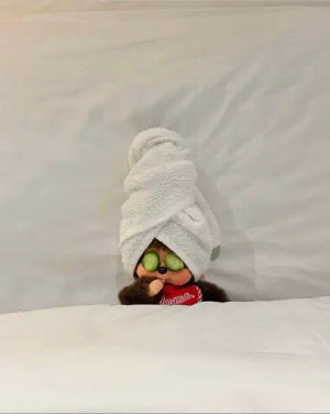 Image post by @cottonon on TikTok