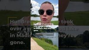 Video post by @aldotcom on YouTube