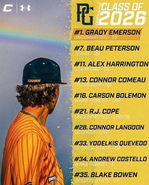 Image post by @thecanesbb on Instagram