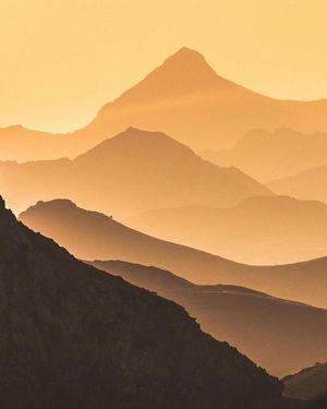 Image post by @fubiz on Instagram