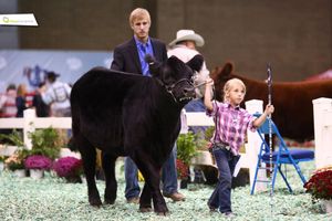 Image post by @AmericanRoyalLivestock on Facebook