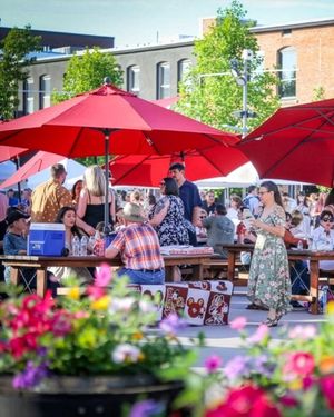 Image post by @thisisboise on Instagram