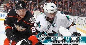 Image post by @sanjosesharks on Instagram