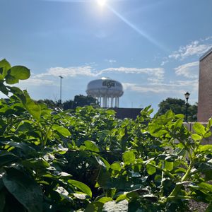 Image post by @WichitaState on Twitter