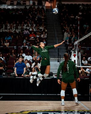 Image post by @hawaiiwvb on Instagram