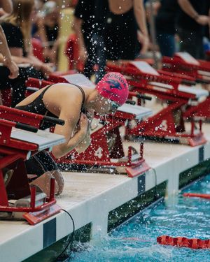 Image post by @NevadaSwimDive on Twitter