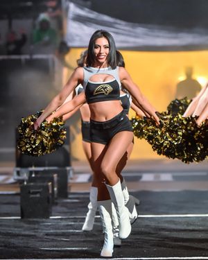 Image post by @panthersdanceteam on Instagram
