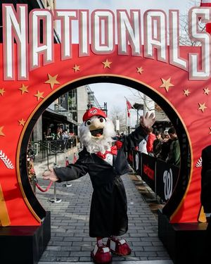 Image post by @screechtheeagle on Instagram