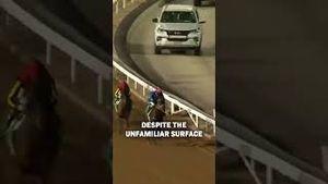 Video post by @worldhorseracing on YouTube