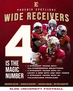 Image post by @elonfb on Instagram