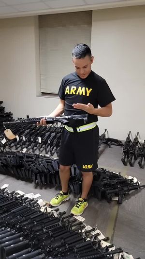 Video post by @bagthebandit on TikTok
