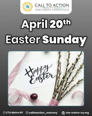 Image post by @calltoaction_metrony on Instagram