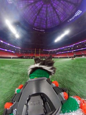 Image post by @littlestumpsracing on Instagram