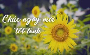 Image post by @sanphukhoachucan on Facebook