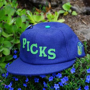 Image post by @picklesbaseball on Instagram