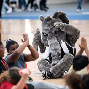 Image post by @gomastodons on Instagram