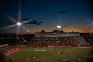 Image post by @isuredbirds on Instagram
