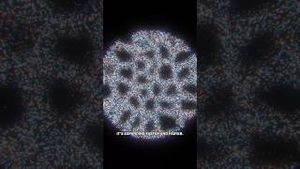 Video post by @cleoabram on YouTube