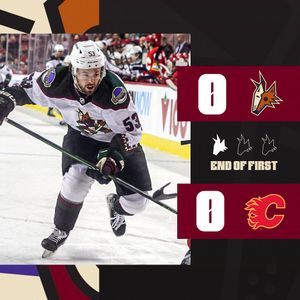 Image post by @ArizonaCoyotes on Twitter