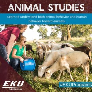 Image post by @ekuadmissions on Instagram