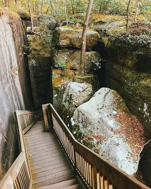 Image post by @drsquatch on Instagram