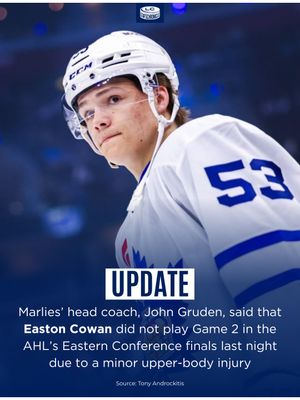 Image post by @leafschronicle on Instagram