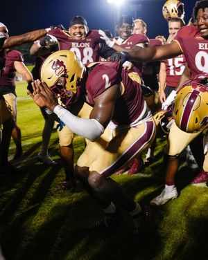 Image post by @elonfb on Instagram