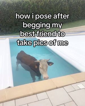 Video post by @moomoorevolution on TikTok