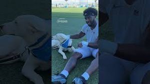 Video post by @Los Angeles Chargers on YouTube