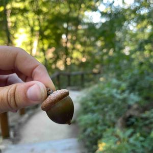 Image post by @mkecountyparks on Instagram