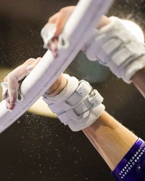 Image post by @uwgymnastics on Instagram