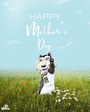 Image post by @wsuraiders on Instagram