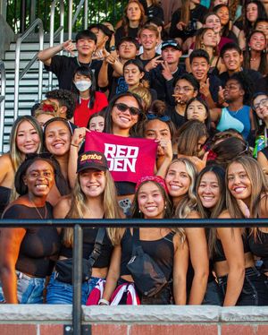 Image post by @pacuredden on Instagram