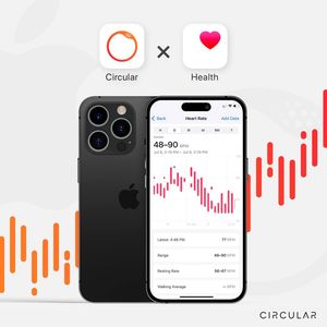 Image post by @circularing on Instagram