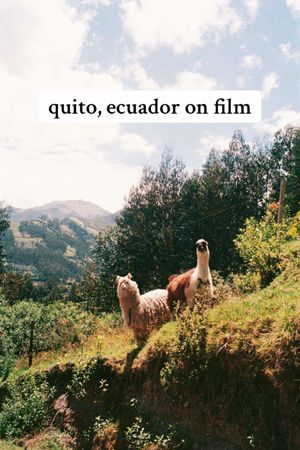Video post by @filmbychloeg on TikTok