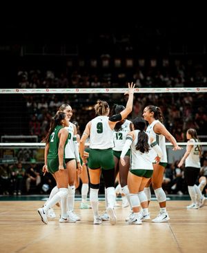 Image post by @hawaiiwvb on Instagram