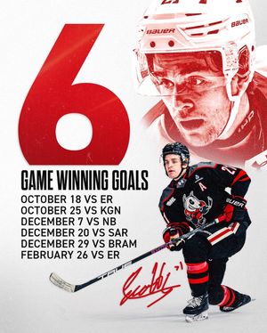 Image post by @ohlicedogs on Instagram