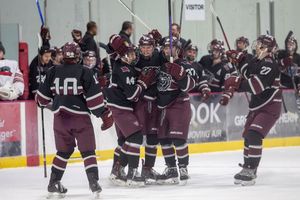 Image post by @d3mostateicebears on Instagram