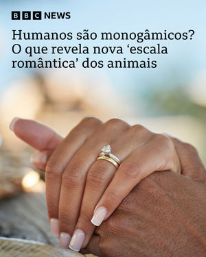 Image post by @bbcbrasil on Instagram