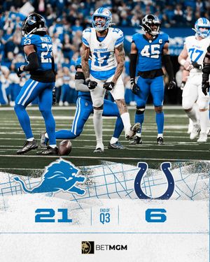 Image post by @Lions on Twitter