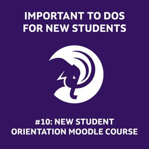 Image post by @amherststudentaffairs on Instagram